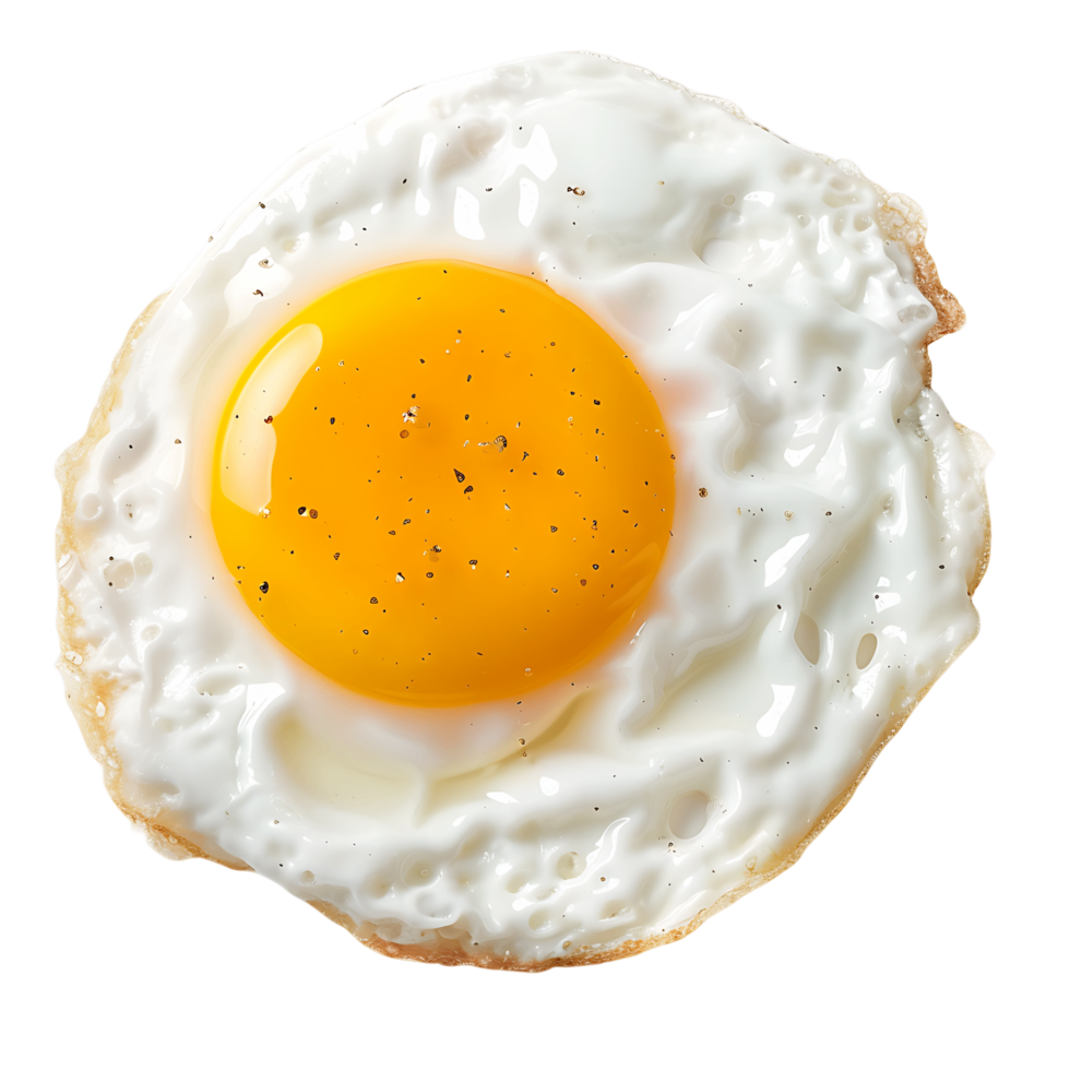 oeuf