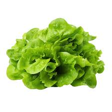 salade verte	